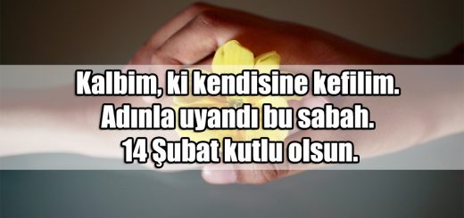14 Şubat Sevgililer Günü ile ilgili Sözler