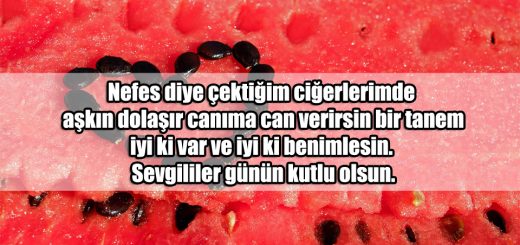 14 Şubat ile ilgili Sözler