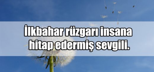 ilkbahar ile ilgili Sözler