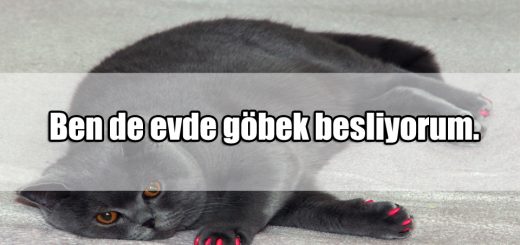 Şişmanlıkla ilgili Komik Sözler