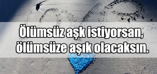 Aşık Olmak ile ilgili Sözler