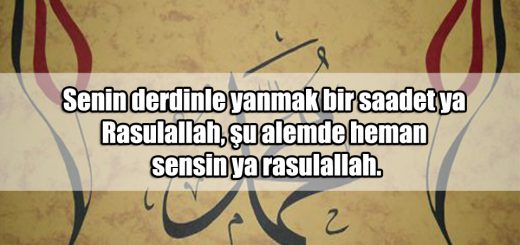 Hz. Muhammede Yazılan Güzel Sözler