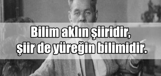 Maksim Gorki Sözleri