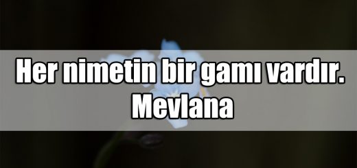 Nimet ile ilgili Sözler