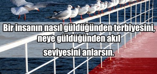 Seviye ile ilgili Sözler