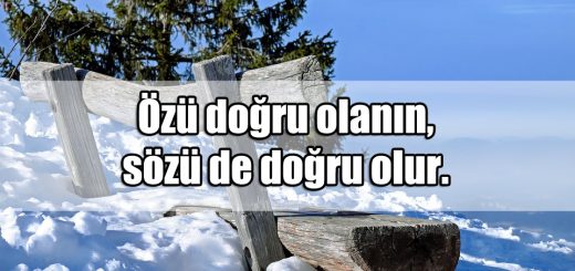 Doğru Dürüst Sözler