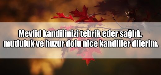 Mevlid Kandili Sözleri