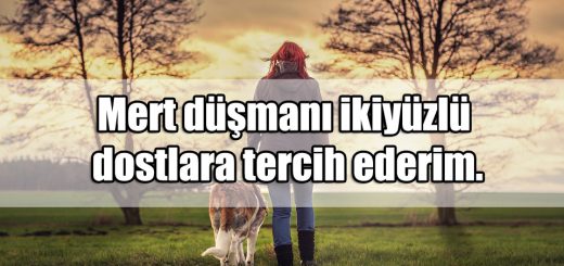 Dosta Ağır Sözler