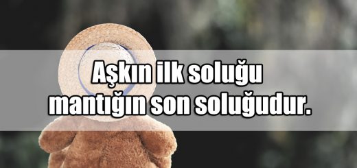 En iyi 20 Aşk Sözü