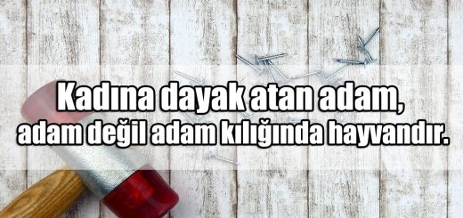 Dayak ile ilgili Sözler