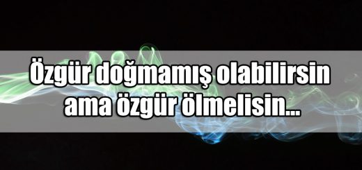 Manyak Sözler
