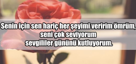 14 Şubat Sevgililer Günü Mesajları