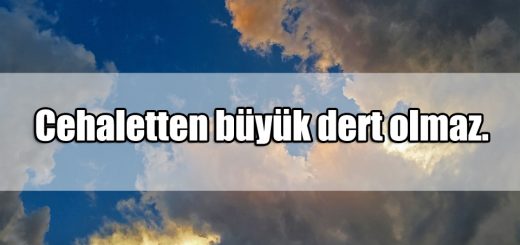 Cahil insanlar ile ilgili Sözler