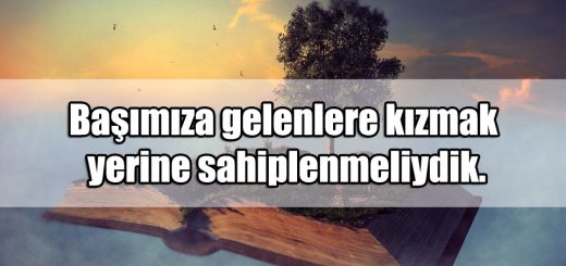 Kitap Sözleri