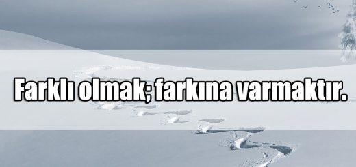 Farklı Olmak ile ilgili Sözler