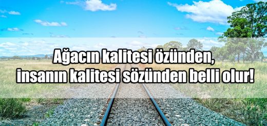 Kalite ile ilgili Sözler