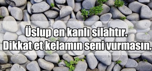 Üslup ile ilgili Sözler