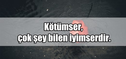 Entelektüel Sözler