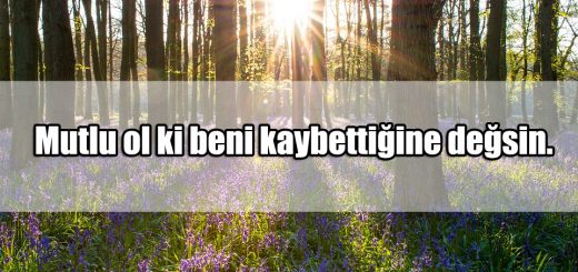 Ayrılık Yazıları