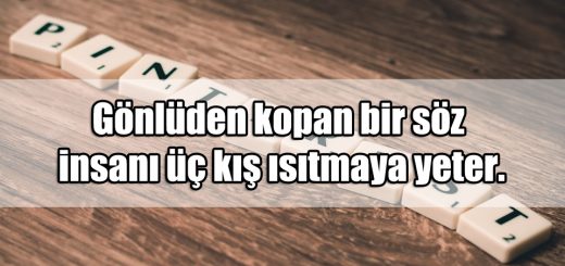 Pinterest Durum Sözleri