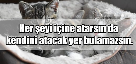 Büyüleyici Sözler