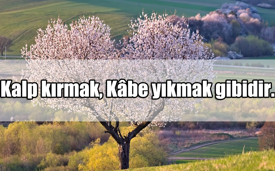 Kalp Kırıklığı Sözler