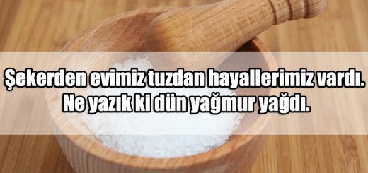 Tuz ile ilgili Sözler