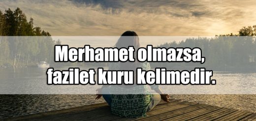 Fazilet ile ilgili Sözler