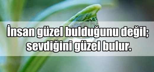 Sevgiyi Anlatan Sözler