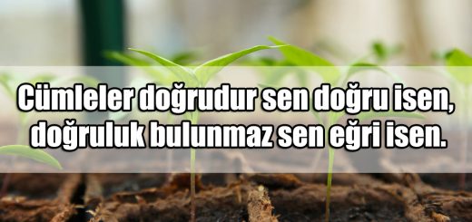 Hayata Dair Güzel Sözler