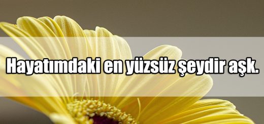 Yüzsüzlere Sözler