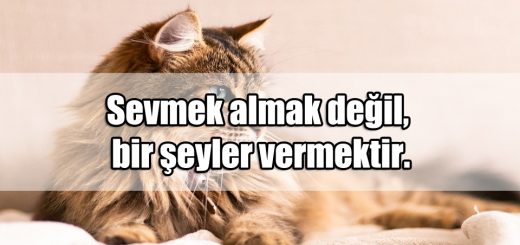 Sevgi Sözcükleri