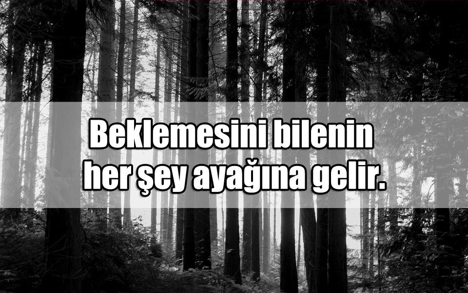 Tarihi Sözler