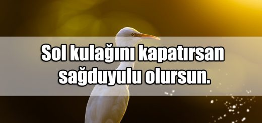 Espirili Mesajlar