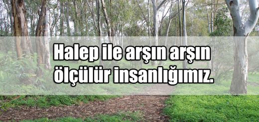 Halep ile ilgili Sözler