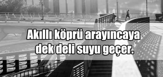 Köprü ile ilgili Sözler
