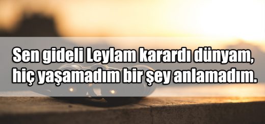 Leyla ile ilgili Sözler