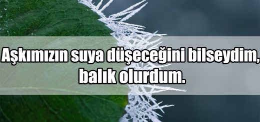 Aşk itiraf Sözleri