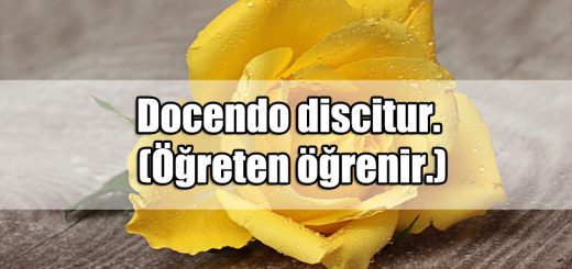 Latince Dövme Sözleri