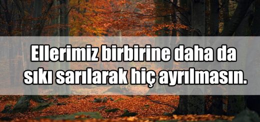 Tanışma Yıldönümü Sözleri