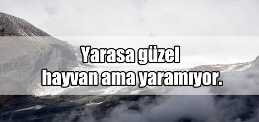 iğrenç Şakalar