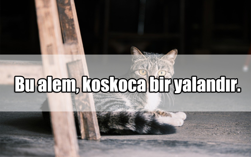 Yalan ile ilgili Sözler