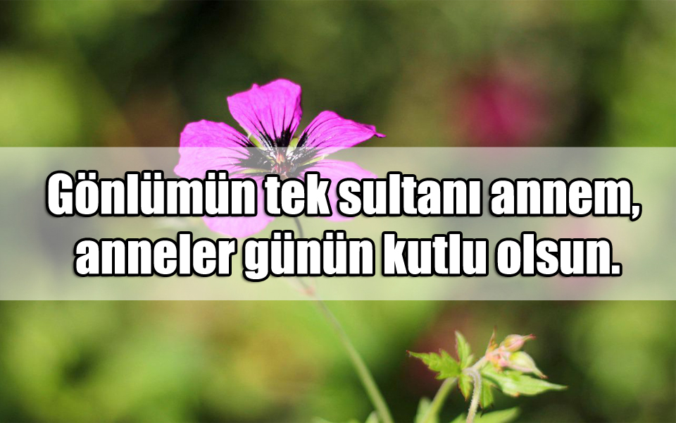 Anneler Günü Sözler