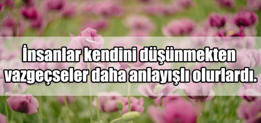 Anlayış ile ilgili Sözler