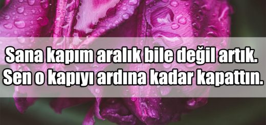 Aralık ile ilgili Sözler