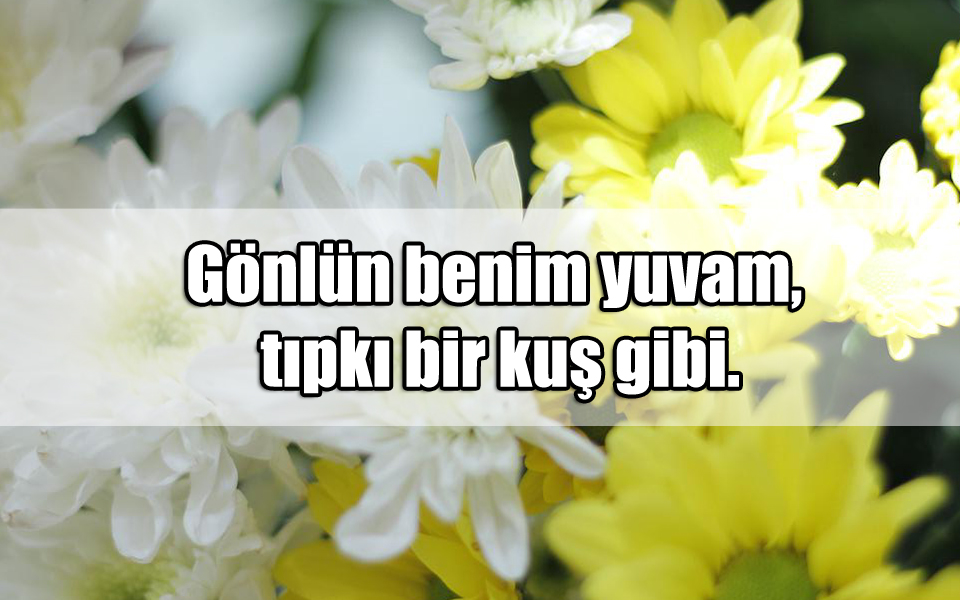 Erkek Sevgiliye Aşk Sözleri