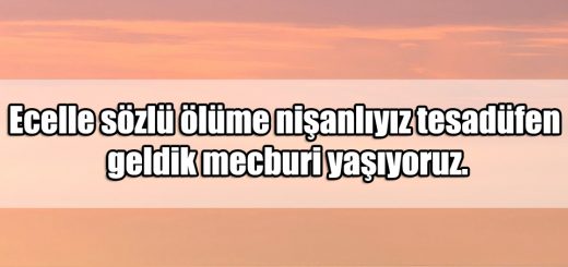 Meydan Okuma Sözleri