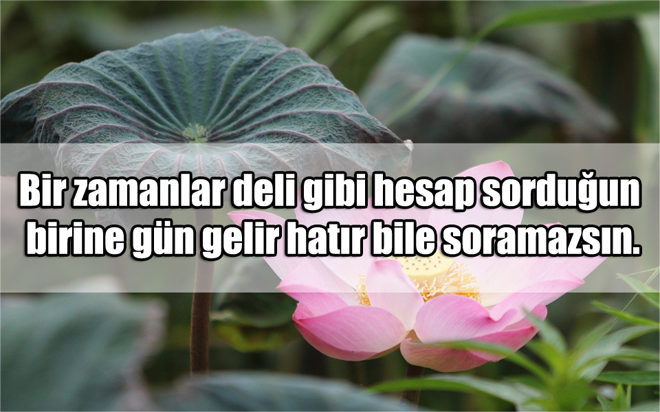 Bitmiş Aşk Sözleri