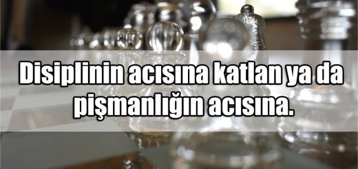 Disiplin ile ilgili Sözler