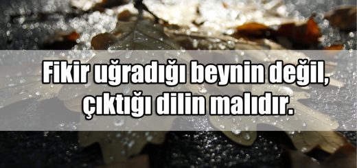 Etkileyici Anlamlı Sözler